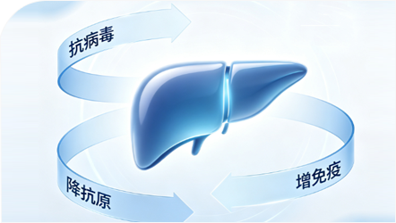 乙肝三维度全治疗法